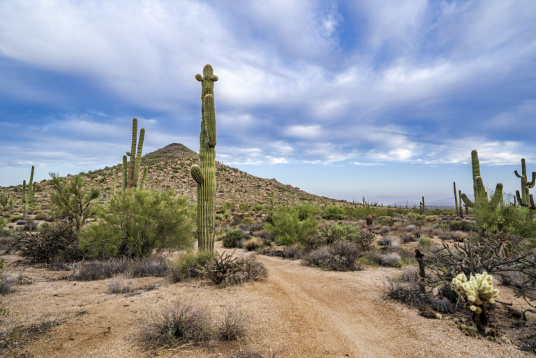 Establishing Land Values & Broker Opinion of Values (BOV) vs. Appraisals